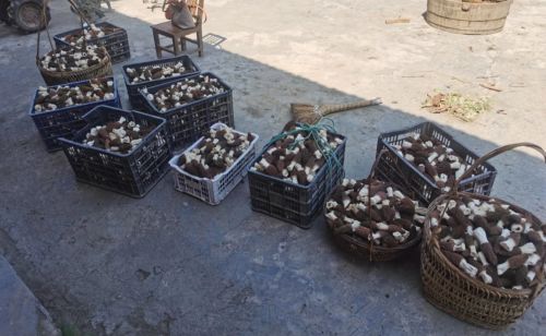 微信图片_20230323103112