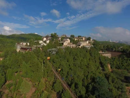 图片1