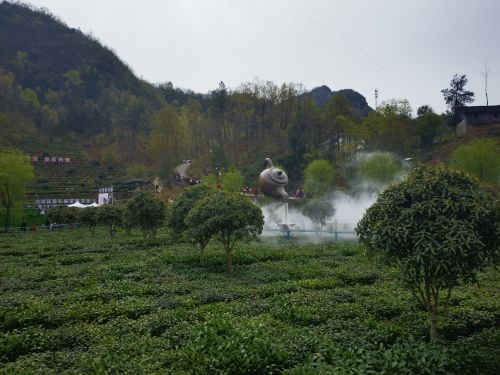 白河县茶旅文化节暨“春游白河” (3)