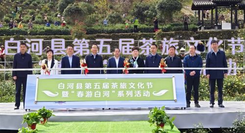白河县茶旅文化节暨“春游白河” (4)