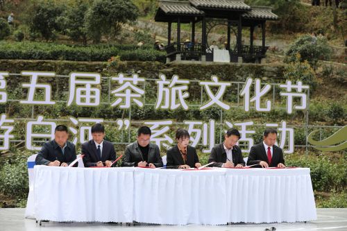 白河县茶旅文化节暨“春游白河” (5)