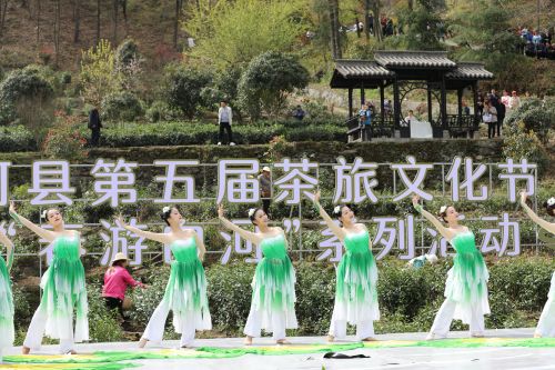 白河县茶旅文化节暨“春游白河” (6)