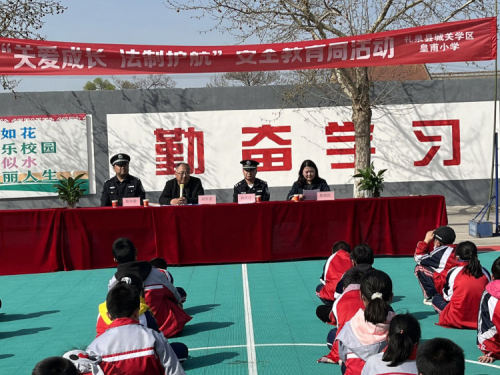 图片11