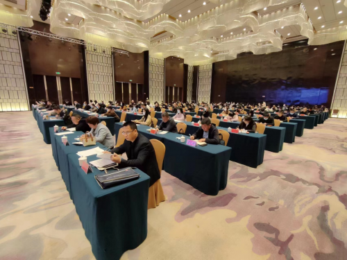 图片6