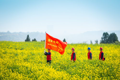 图片11