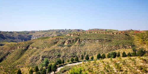 高尧峁村沿黄石山区生态绿化建设项目