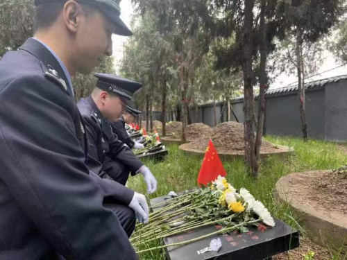 图片1