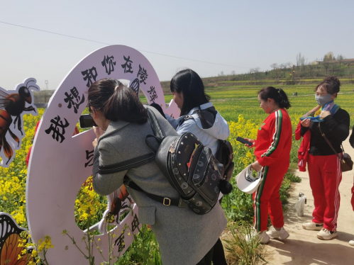 图片19
