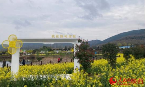 QQ截图20230408122105