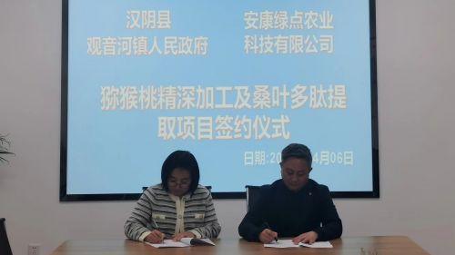 汉阴县观音河镇：招商引资&ldquo;加速 (2)