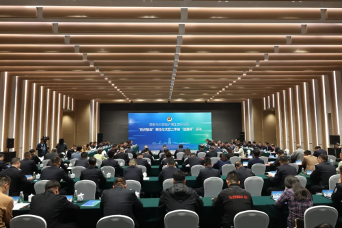 图片11