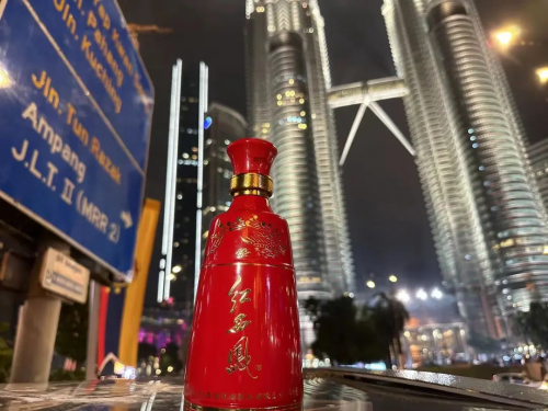 图片17