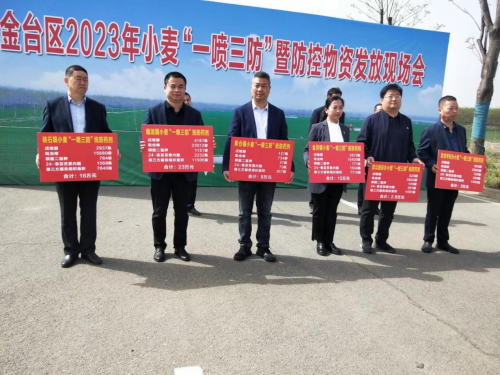 图片10