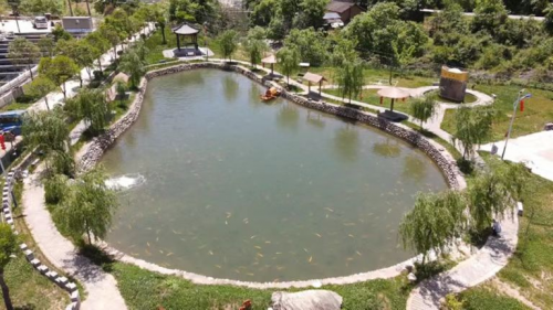 图片18