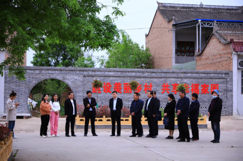图片6