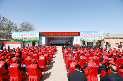 图片15