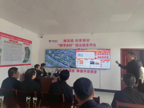 图片20