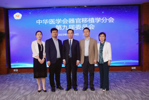图片27