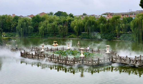 图片33