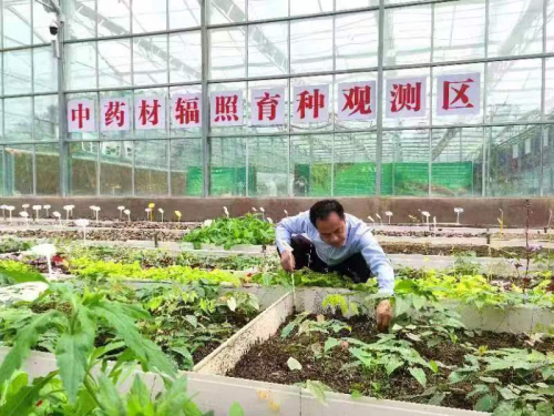 图片3