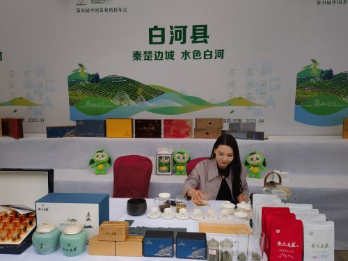 第31届中国茶业科技年会在安康市举办 (2)
