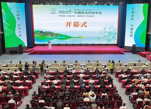 第31届中国茶业科技年会在安康市举办 (1)
