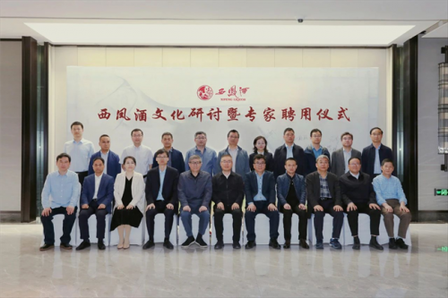 图片11