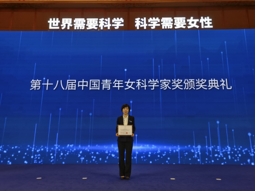 图片8