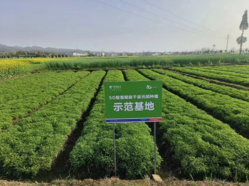 图片14