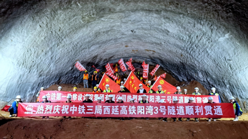 图片14