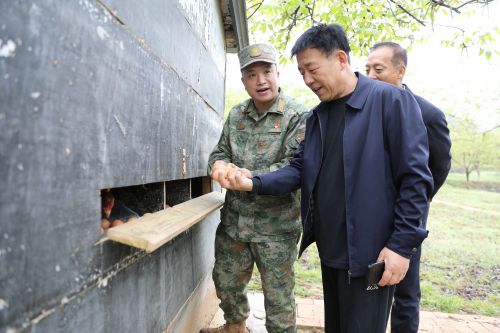 在照金镇复转军人郭彦宁生态养殖基地察看