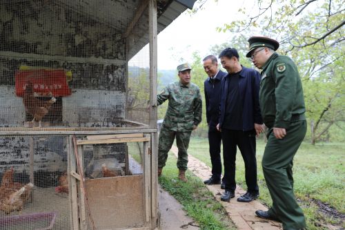 在照金镇复转军人郭彦宁生态养殖基地察看2