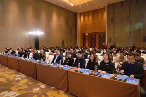 图片29