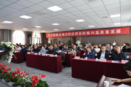 图片15