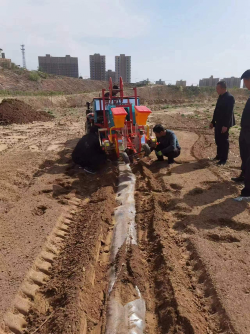 图片18