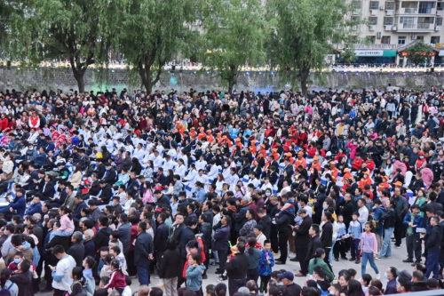 图片8