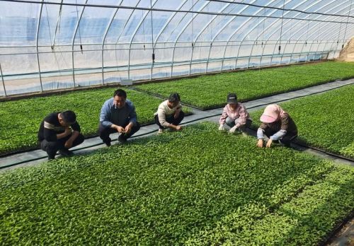 1129583242_16828762690941n