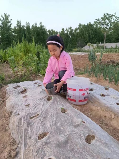 微信图片_20230501150927