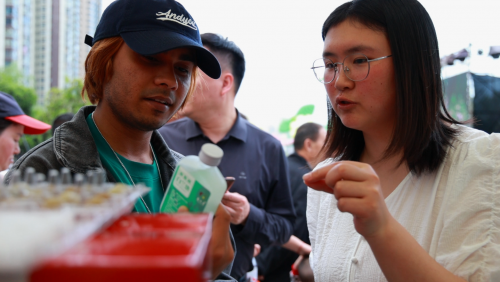 镇坪农特产品走俏市场