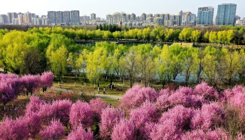 微信图片_20230505095347