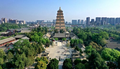 微信图片_20230505095929