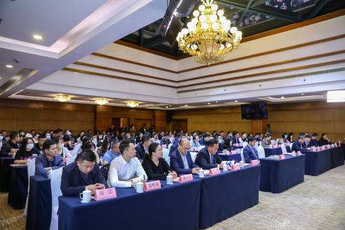 图片13