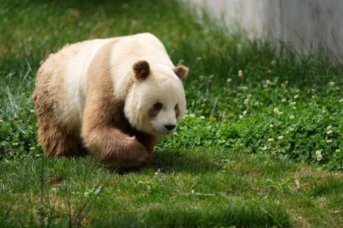 微信图片_20230506101659