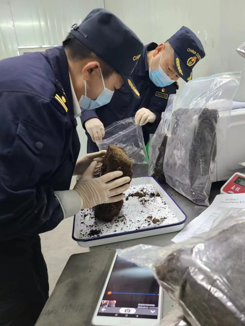 图片3