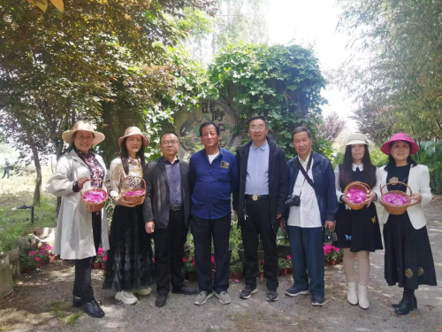 图片5