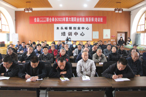 图片23