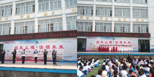 图片6