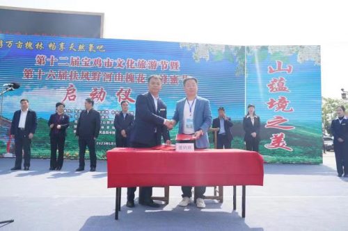 图片23
