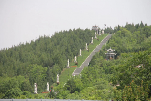 图片26