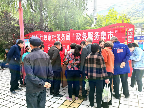 图片8